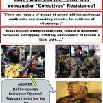 Venezuelan Resistance Fighters