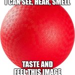 dodgeball | I CAN SEE, HEAR, SMELL; TASTE AND FEEL THIS IMAGE | image tagged in red rubber dodgeball,you have been eternally cursed for reading the tags | made w/ Imgflip meme maker