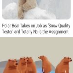 Polar bear | image tagged in gifs,polar bear,blank white template,memes,snow,nailed it | made w/ Imgflip video-to-gif maker