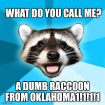 rock | WHAT DO YOU CALL ME? A DUMB RACCOON FROM OKLAHOMA1!1!1!1 | image tagged in memes,lame pun coon | made w/ Imgflip meme maker