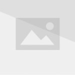 Don’t want to be a bother