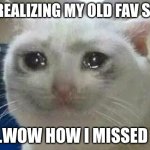 crying cat | ME REALIZING MY OLD FAV SONG; ME:..WOW HOW I MISSED YOU | image tagged in crying cat,sad | made w/ Imgflip meme maker