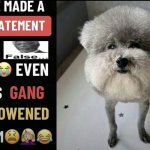 he made a statement so false