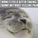 My ass feels so comfy | HOW IT FEELS AFTER TAKING A DUMP WITHOUT FEELING PAIN: | image tagged in memes,poop,relatable,funny,toilet,stupid | made w/ Imgflip meme maker