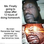It's always the same when I go to sleep. | Me: Finally going to sleep after 12 hours of doing homework. My brain: Remember that “easy” homework you left for last? It's due tomorrow, boss. | image tagged in memes,sleeping shaq,reality,school meme,xd | made w/ Imgflip meme maker