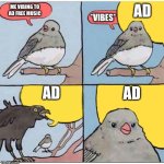 annoyed bird | AD; ME VIBING TO AD FREE MUSIC; *VIBES*; AD; AD | image tagged in annoyed bird | made w/ Imgflip meme maker