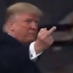 DJT flipping off template