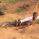 Watching snake attack boy