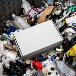 Blank Shoebox in the trash dumpster