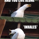 3am | WHEN YOU HEAR A NOISE AT 3AM; AND YOU LIVE ALONE; *INHALES*; WHOEVER'S THERE, PLEASE TAKE THE STUDENT LOANS INSTEAD! | image tagged in memes,inhaling seagull | made w/ Imgflip meme maker