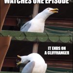 weid seagull | STARTS NEW NETFLIX SERIES; WATCHES ONE EPISODE; IT ENDS ON A CLIFFHANGER; *CANCELED AFTER ONE SEASON*!!! | image tagged in memes,inhaling seagull | made w/ Imgflip meme maker