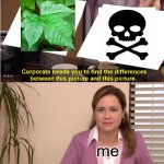 They're The Same Picture | me | image tagged in memes,they're the same picture | made w/ Imgflip meme maker