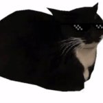 Cat | image tagged in maxwell the cat | made w/ Imgflip meme maker
