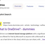 Me when I search up a school answer on google and Gemini hits me