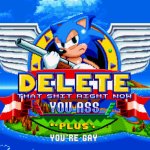 Sonic Wants You To Delete This