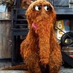 Snuffy ACC Network