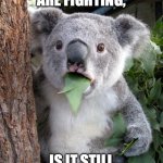 Surprised Koala | IF TWO VEGETARIANS ARE FIGHTING, IS IT STILL HAVING BEEF? | image tagged in memes,surprised koala | made w/ Imgflip meme maker