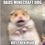 This has a place in Top 10 heart attacks | WHEN YOU KILL DADS MINECRAFT DOG; BUT THEN HEAR HIM COMING TO YOUR ROOM | image tagged in scared hamster | made w/ Imgflip meme maker
