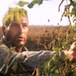 Shakin the tree boss