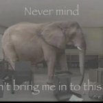 Nevermind don't bring me into this shit