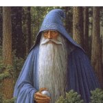 Blue wizard