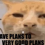 I have plans to ___. Very good plans meme