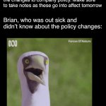 Stunned bird | CEO: Brian is going to present on the changes to company policy. Make sure to take notes as these go into affect tomorrow; Brian, who was out sick and didn’t know about the policy changes: | image tagged in stunned bird | made w/ Imgflip meme maker
