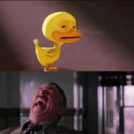 Duck Crying And Man Laughing GIF Template