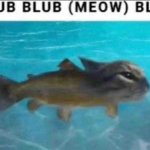 blub blub (meow) blub