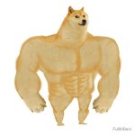 Buff doge