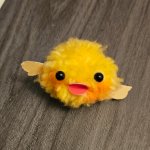 Pom pom ducky