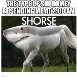 Why bruh | THE TYPE OF SHI HOMEY BE SENDING ME AT 2:00 AM | image tagged in shorse | made w/ Imgflip meme maker