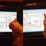 technical worried cat & schematics