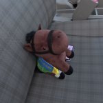 Nomad Push Horse San