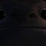 toothless meme face meme