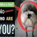 Who is this? No seriously WHO ARE YOU meme