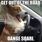 funny meme | GET OUT OF THE ROAD; DANGE SQARL | image tagged in rage corgi | made w/ Imgflip meme maker