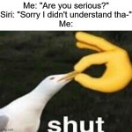 I'M NOT TALKING TO YOU SIRI. | Me: "Are you serious?"
Siri: "Sorry I didn't understand tha-"
Me: | image tagged in shut,funny,stop reading the tags | made w/ Imgflip meme maker