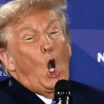 Trump grotesque lies insults crazy