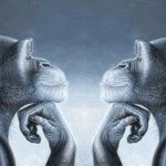 monkeys mogging each other