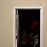 SCP-4897-J / SPC-7984-J