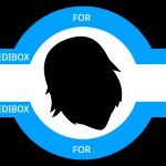 Melli's incredibox fllag