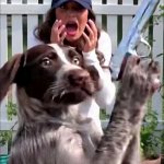 Kristi Noem dog gun shoot payback