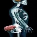 Digging in your butt twin.