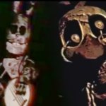 ن ترى الجنة أبداً.