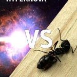 Hypernova vs A Dying Ant