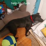 When your play with one of those finger traps