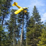 Missed it by that much!