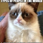 Two types of peope in the world | THERE ARE ONLY TWO TYPES OF PEOPLE IN THE WORLD; I AVOID BOTH OF THEM | image tagged in memes,grumpy cat | made w/ Imgflip meme maker