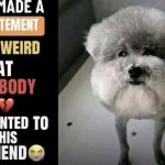 he made a statement so weird